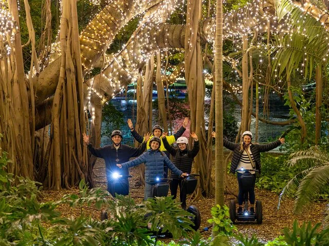 People on segways pose under trees with fairy lights.
